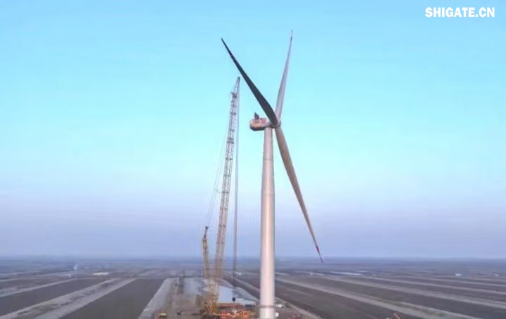1月11日，全球最大功率等級的漂浮式風電機組——中國中車“啟航號”在山東東營風電裝備測試認證創(chuàng)新基地吊裝成功，標志著我國在海上超大型風機的探索邁出重要一步。該項目風電機組的配套塔筒是全球直徑最大、重量最重的塔筒型號，所用鋼板由河鋼集團舞鋼公司獨家提供。  微信圖片_20250220083217.jpg  舞鋼公司深入貫徹集團要求，以客戶需求為導向，大力開展技術營銷，不斷優(yōu)化營銷方案，通過提供“一攬子”解決方案，滿足高端客戶對高品質產品和未來發(fā)展的需求，加速由生產型向“制造+服務”型企業(yè)轉變。該項目對產品抗沖擊性能及表面質量有著極為嚴苛的要求，且交貨期較短，生產難度相當大。為確保合同順利交付，舞鋼公司產線各單位協(xié)同聯動，強化工藝和生產過程控制，攻克了高強度與高延伸率匹配、低溫沖擊韌性匹配等一系列技術難題，確保了產品各項指標全部滿足客戶要求，并按期交付客戶。  微信圖片_20250220083224.jpg  “啟航號”20MW漂浮式海上風電塔筒是專門為20MW及以上海上漂浮式風機提供系統(tǒng)解決方案而設計的，是全球最大功率漂浮式風電機組的配套塔筒，總高度為141.15米，最大直徑12米，重量達到了1576噸。